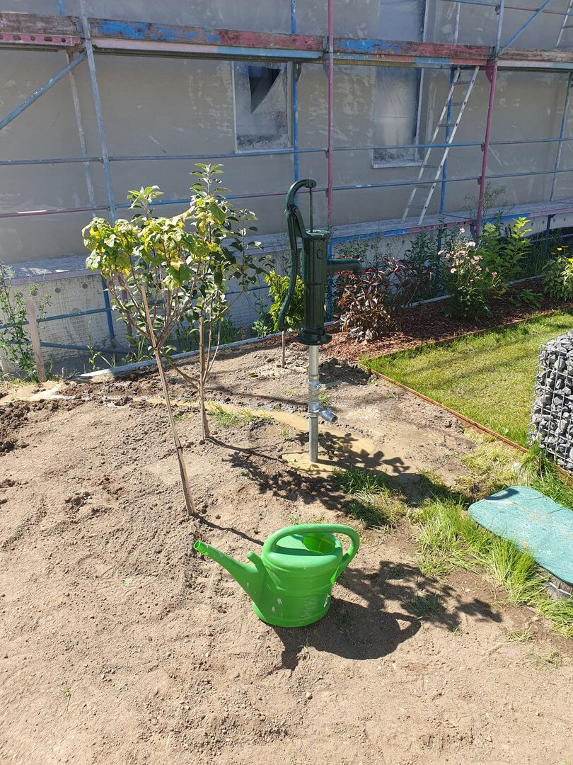 Handpumpe neben einem jungen Baum im Garten